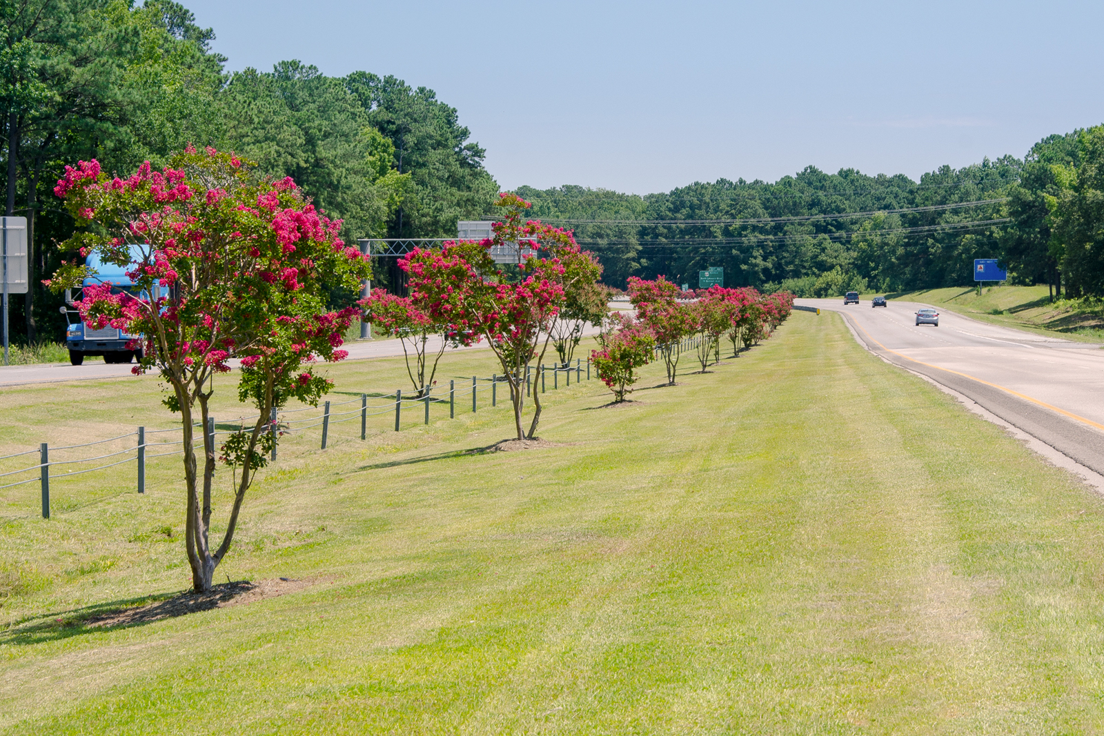 Highway Vegetation